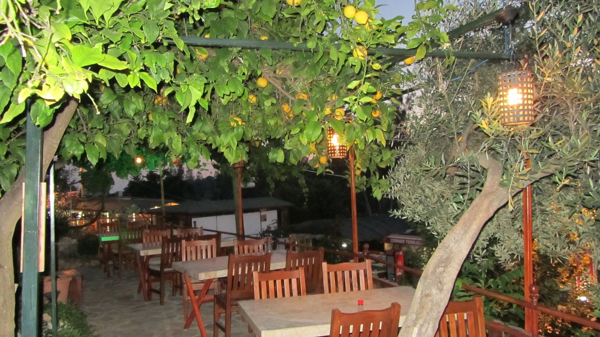 St. Nicholas Pension Patara Exterior photo